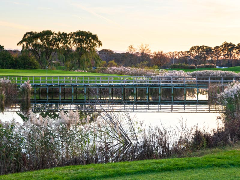 The Rookery Golf Club Public Course Milton / Milford DE Course